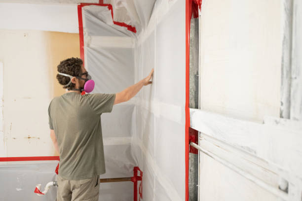 Best Dehumidification Services  in Medpolis, IA