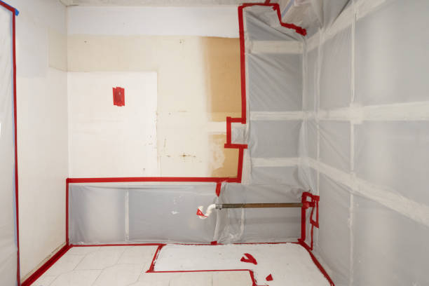 Best Commercial Mold Inspection  in Medpolis, IA