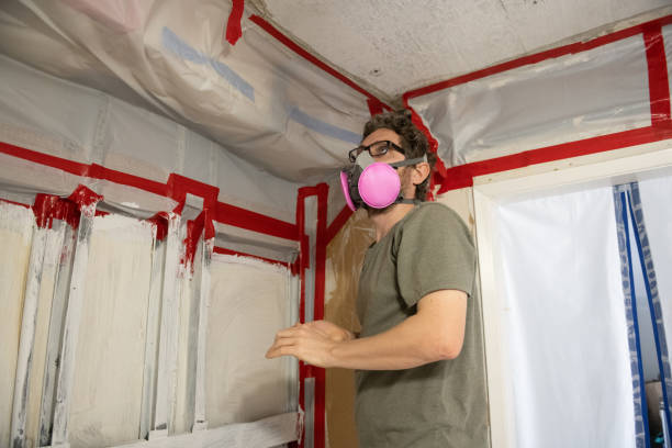 Mold Odor Removal Services in Mediapolis, IA
