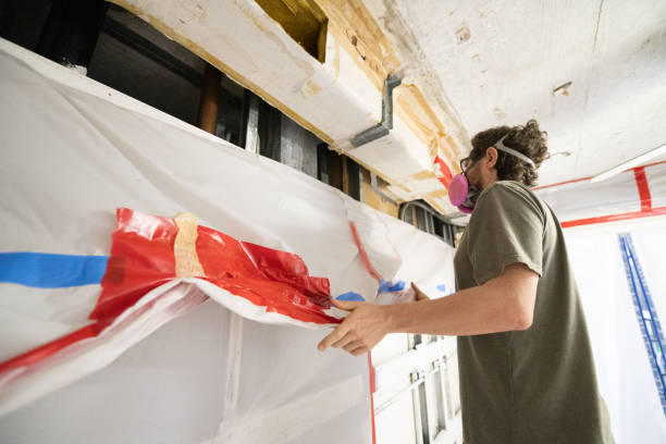 Best Basement Mold Removal  in Medpolis, IA