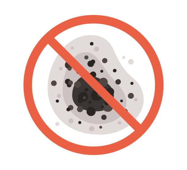 Best Mold Damage Restoration  in Medpolis, IA