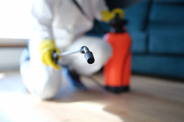 Best Airborne Mold Testing  in Medpolis, IA