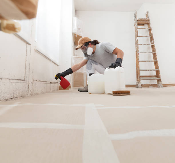 Best Mold Prevention Services  in Medpolis, IA