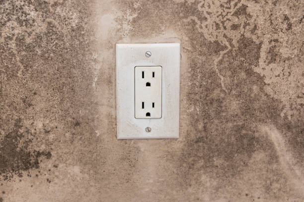 Best Mold Odor Removal Services  in Medpolis, IA