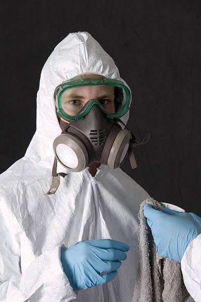 Best Mold Removal for HVAC Installations  in Medpolis, IA